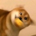 熊本熊多多