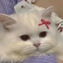 小困_愛玖