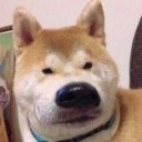 二十二的烠